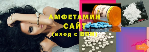 PSILOCYBIN Алзамай