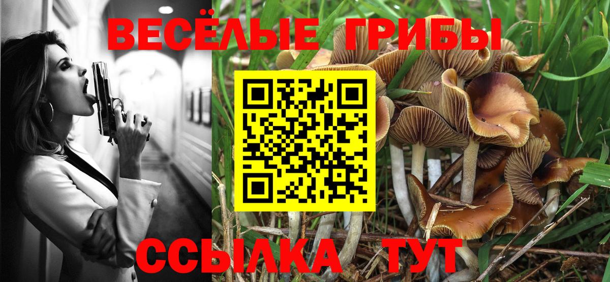 Галлюциногенные грибы GOLDEN TEACHER  Псилоцибиновые грибы Magic Shrooms  Находка  Вход с VPN 