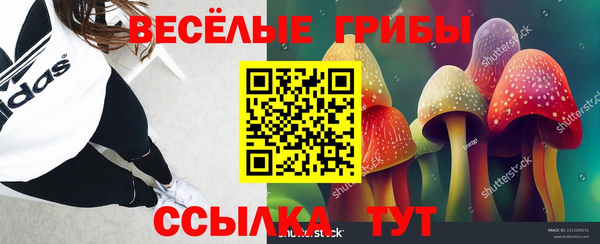 Псилоцибиновые грибы Cubensis Находка