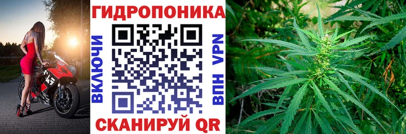 Бошки марихуана LSD WEED  наркошоп  Находка 